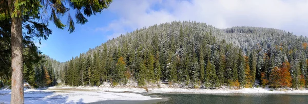 Bergskog med första vinter snö — Stockfoto