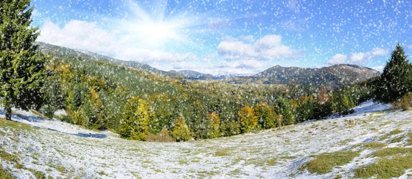 Bosque de montaña con primera nieve de invierno —  Fotos de Stock