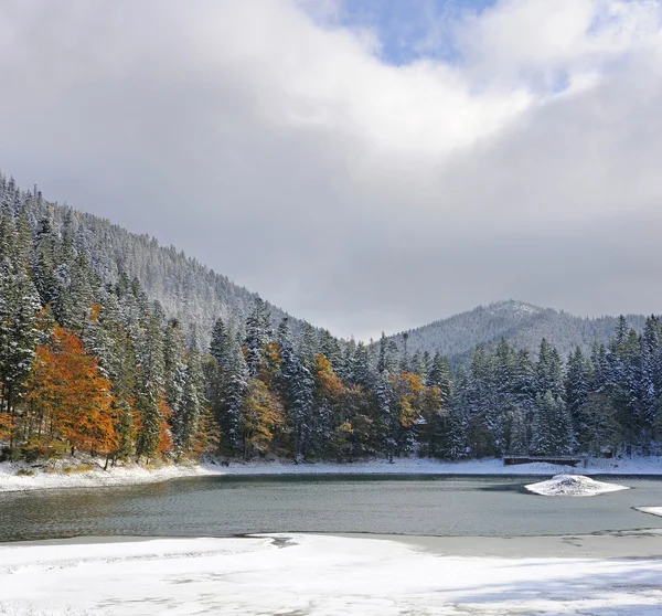 最初の冬の雪の山の森林 — ストック写真
