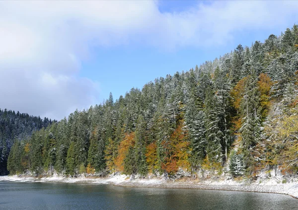 Floresta de montanha com primeira neve de inverno — Fotografia de Stock
