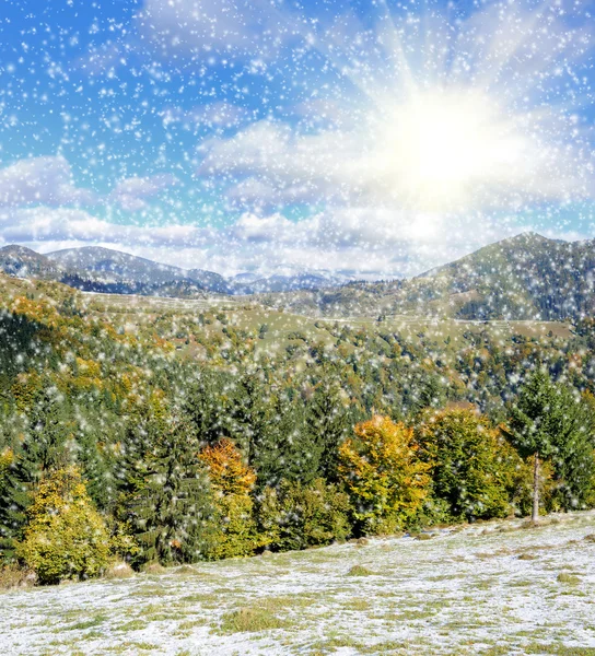Гірський ліс з першим зимовим снігом — стокове фото