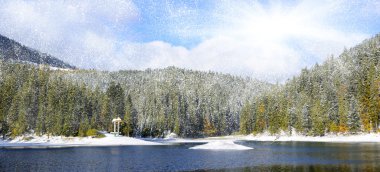 Mountain forest with first winter snow clipart
