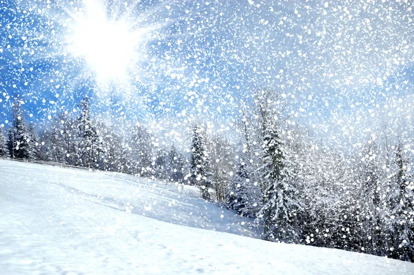 Prachtig winterlandschap met besneeuwde bomen — Stockfoto