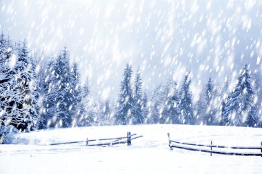 Beautiful winter landscape with snow covered trees clipart