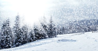 Beautiful winter landscape with snow covered trees clipart