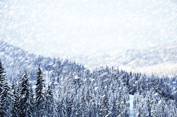 Bellissimo paesaggio invernale con alberi innevati — Foto Stock