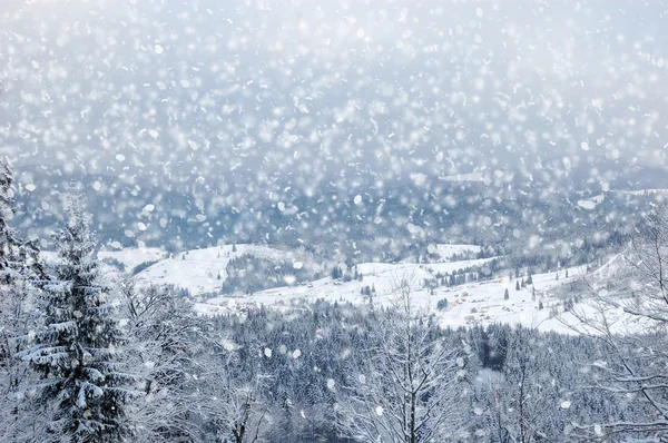 Prachtig winterlandschap met besneeuwde bomen — Stockfoto
