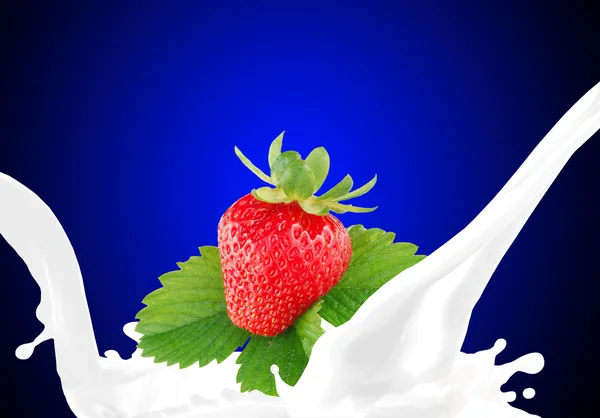 Γάλα που πιτσιλάει με φράουλα — Φωτογραφία Αρχείου