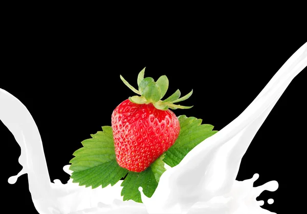 Γάλα που πιτσιλάει με φράουλα — Φωτογραφία Αρχείου