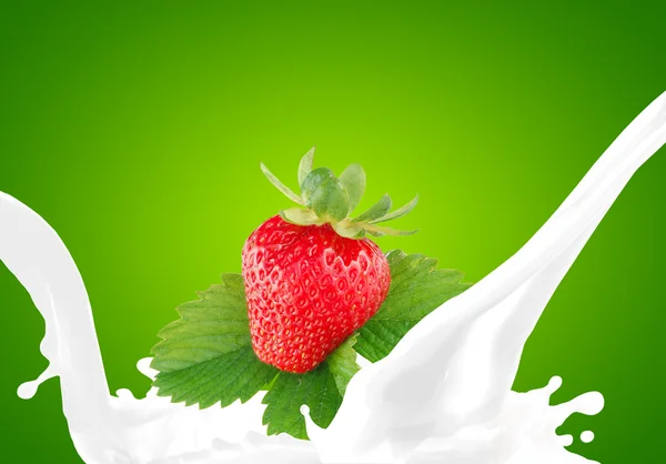 用草莓泼洒牛奶 — 图库照片