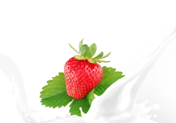 用草莓泼洒牛奶 — 图库照片