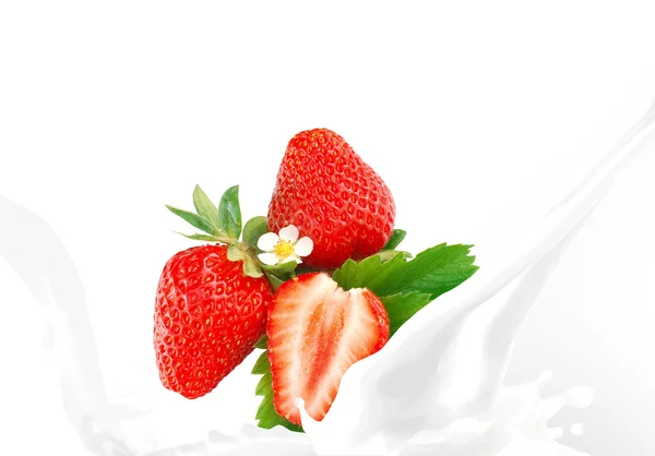 딸기를 튀기는 우유 — 스톡 사진