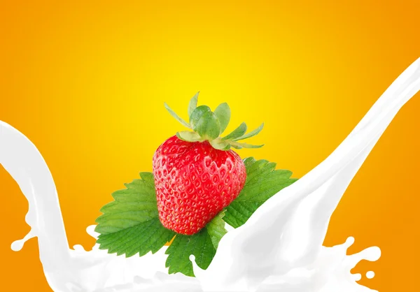 Splashing milk with strawberry — Stock Photo, Image