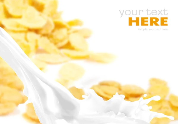 Milchspritzer auf Cornflakes Hintergrund — Stockfoto