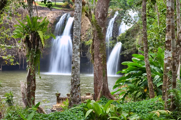 Watervallen in tropisch regenwoud — Stockfoto