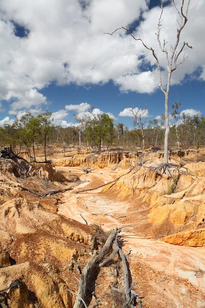Эрозия почвы за счет чрезмерного выпаса — стоковое фото