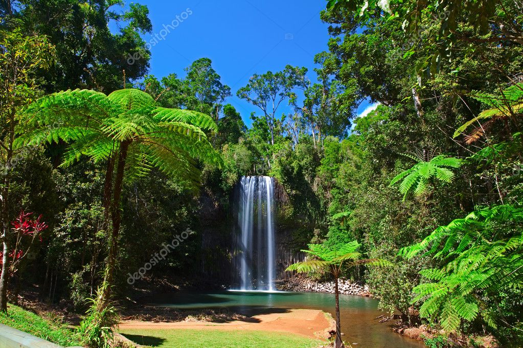 Tree fern en waterval in het tropisch regenwoud paradijs — Stockfoto ...