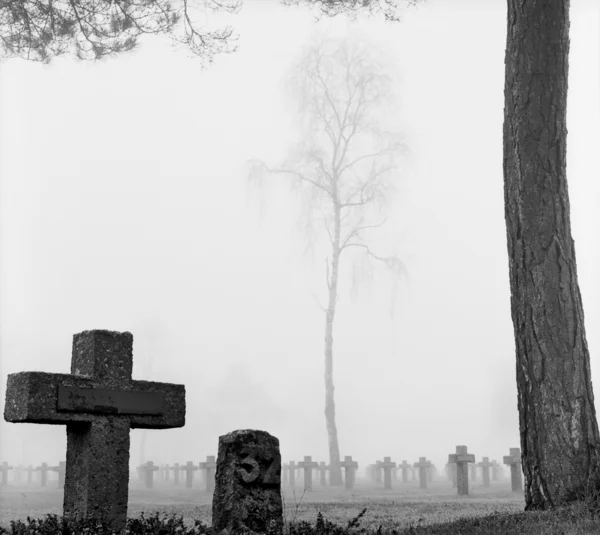 Туман на кладбище — стоковое фото