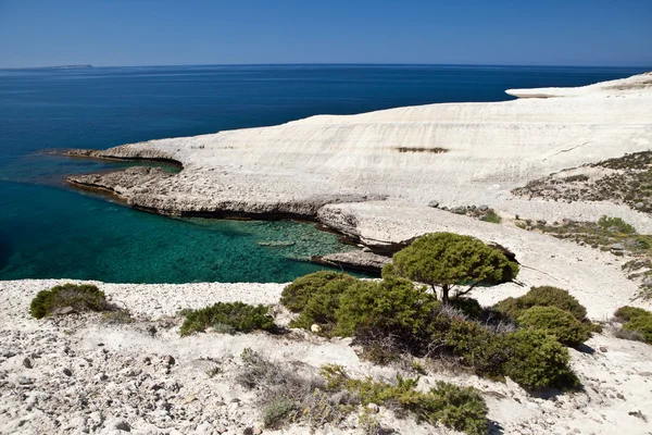 Beyaz tebeşir kayalıklarla erozyona uğramış kıyı şeridi — Stok fotoğraf