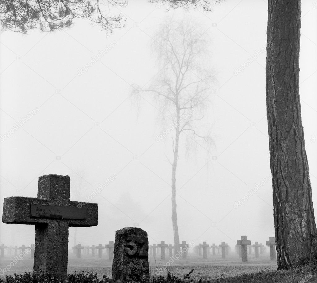 Mist at cemetery