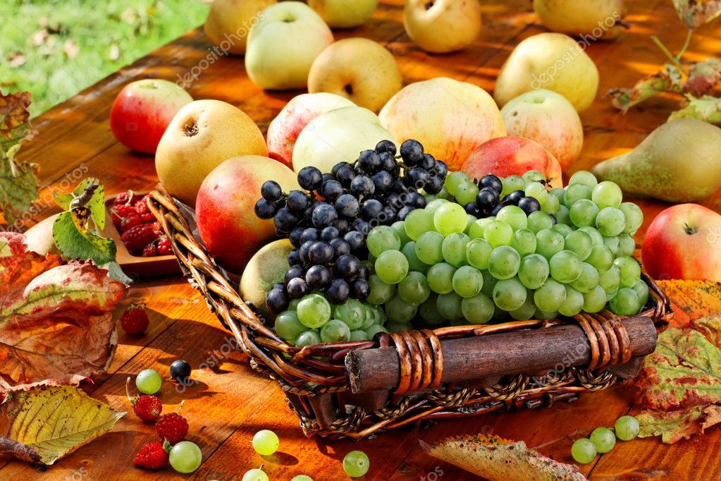 Basket of fruits. — Stock Photo © jura13 7058782