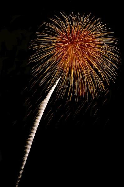 Golden firework explosion — Stock Photo, Image