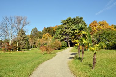 sonbaharda sochi Botanik Bahçesi