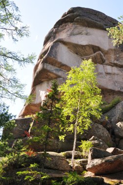 Krasnoyarsk ayağı park