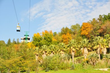 füniküler tropikal Park