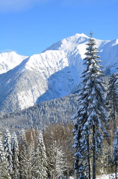 Snow mountains landscape — Stock Photo, Image