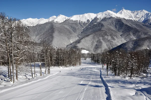 stock image Ski resort