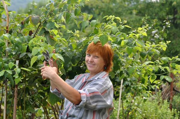 Kertészeti nő — Stock Fotó