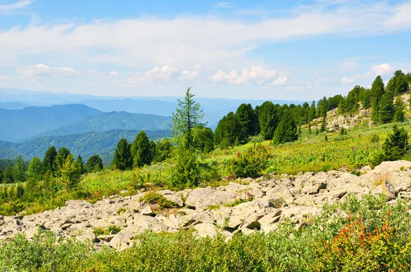 Summer mountains landscape — Stock Photo, Image
