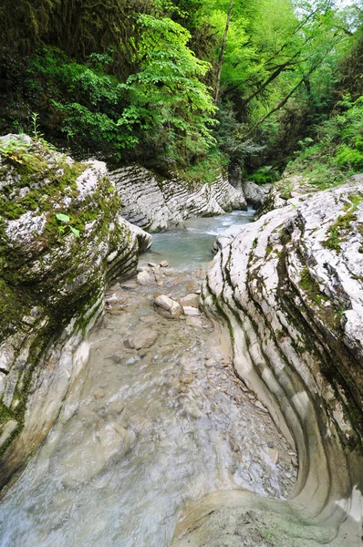 Cañón río de montaña — Foto de Stock