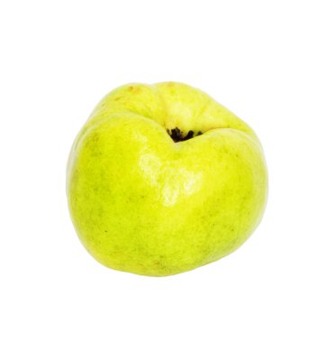 Quince (golden apple) isolated on white background clipart