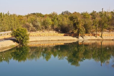 sonbahar orman yansıma