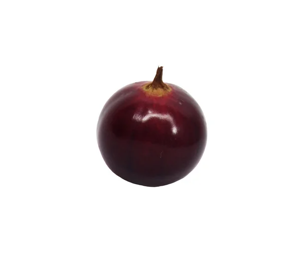 这种浆果黑穗醋栗;宏观 — 图库照片