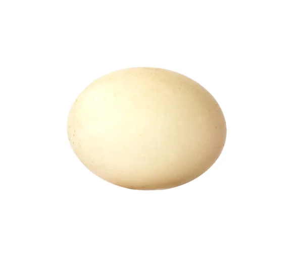 Яйце качки — стокове фото