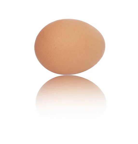 Egy tojás, fehér háttér — Stock Fotó