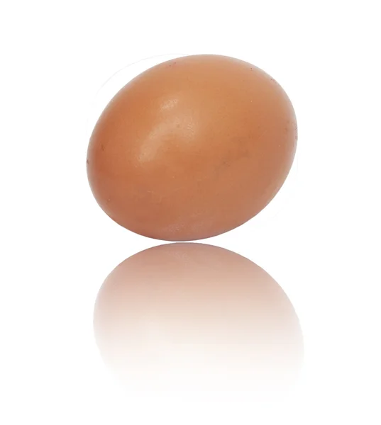 Um ovo no fundo branco — Fotografia de Stock