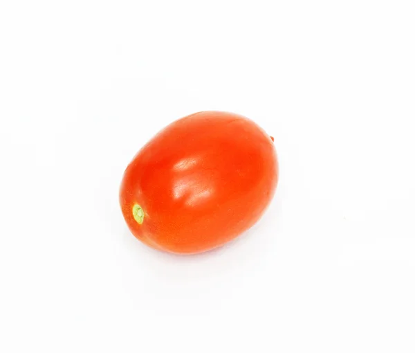 Jedno rajče — Stock fotografie