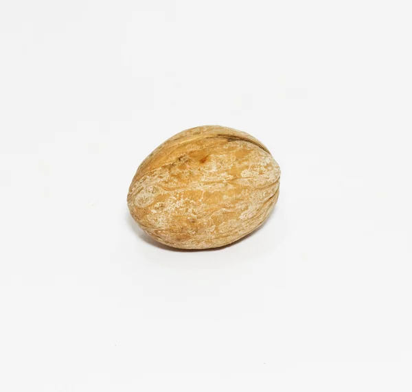 One whole Walnut on white background — Stock Photo, Image