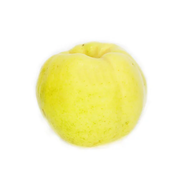 Coing (pomme dorée) isolé sur fond blanc — Photo
