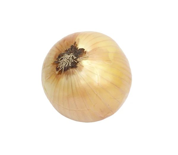 Cebolla madura sobre fondo blanco —  Fotos de Stock