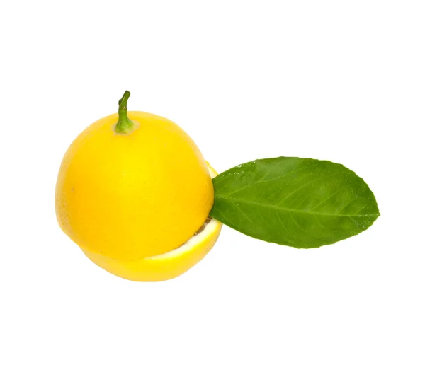 Lemon on wite — Stock Photo, Image