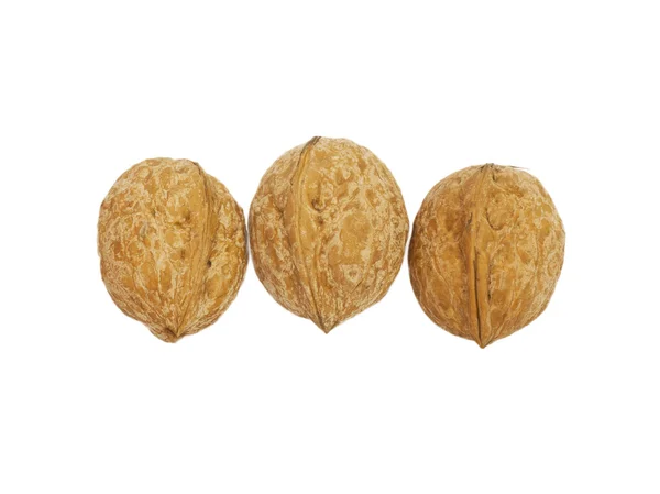 Три ореха, изолированные на белом — стоковое фото
