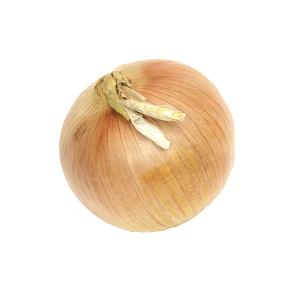 Reife Zwiebel auf weißem Hintergrund — Stockfoto