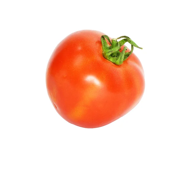Um tomate — Fotografia de Stock