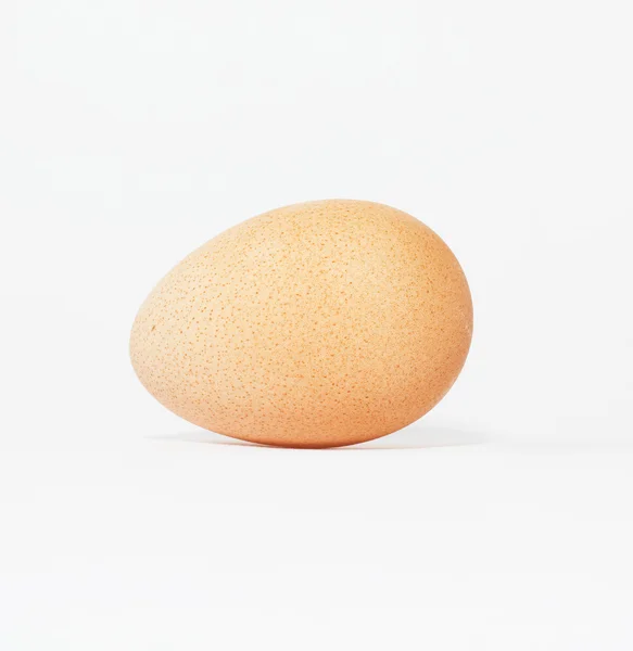 Bir tavuk yumurta — Stok fotoğraf
