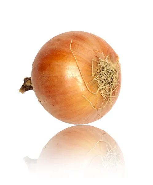 Reife Zwiebel auf weißem Hintergrund — Stockfoto